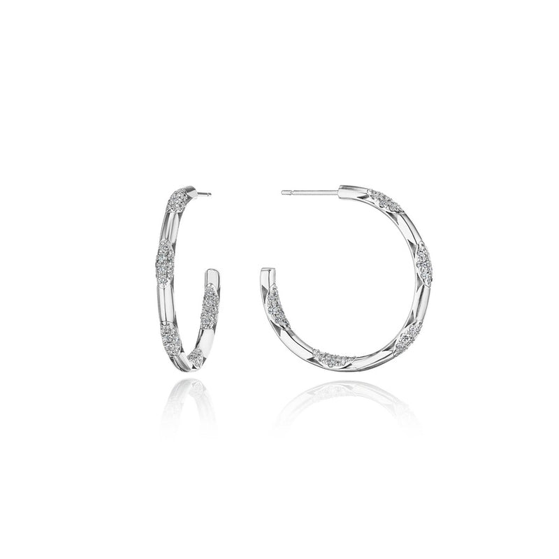 Hoop Earrings, Pulse 34mm