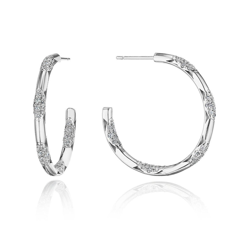 Hoop Earrings, Pulse 34mm in 14kt White Gold