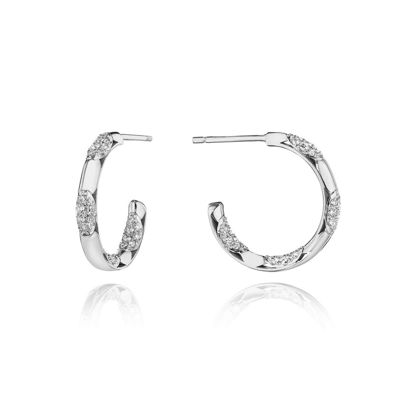 Hoop Earrings, Pulse 20mm in 18kt White Gold