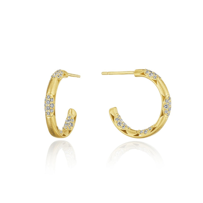 Hoop Earrings, Pulse 20mm in 18kt Yellow Gold