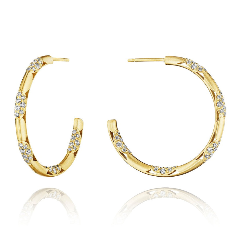 Hoop Earrings, Pulse 34mm in 18kt Yellow Gold