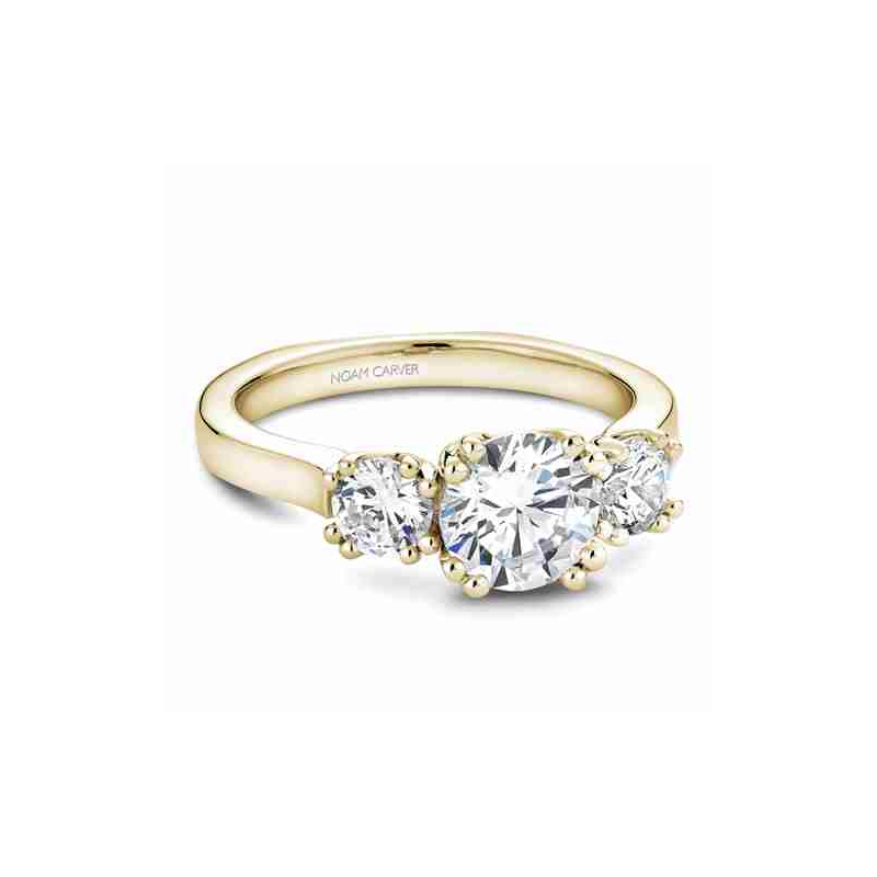 Noam Carver 3 Stone Engagement Ring B001-07YA