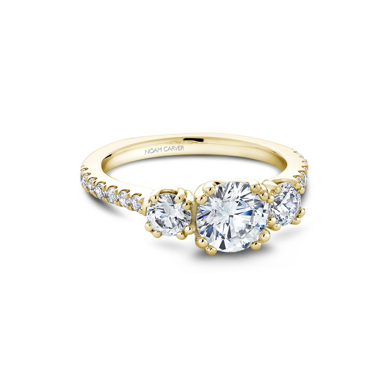 Noam Carver 3 Stone Engagement Ring B001-05YA