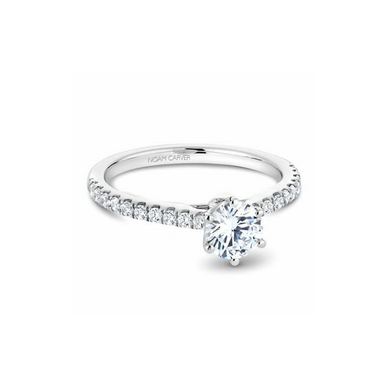 Noam Carver Solitaire Engagement Ring B142-17A