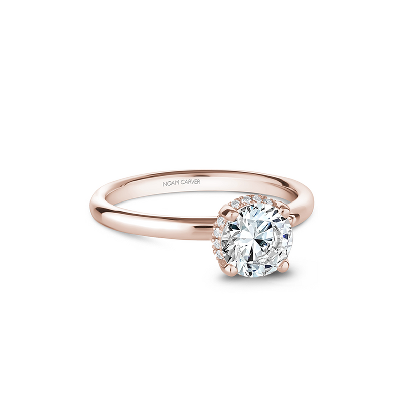 Noam Carver Solitaire Engagement Ring B263-02RA