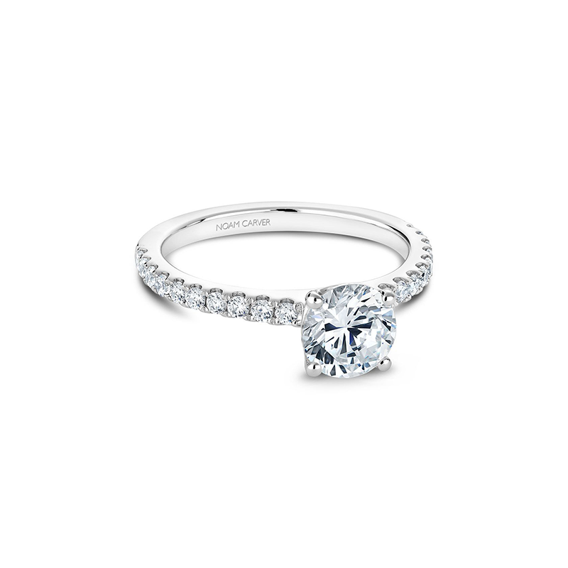 Noam Carver Solitaire Engagement Ring B101-01A
