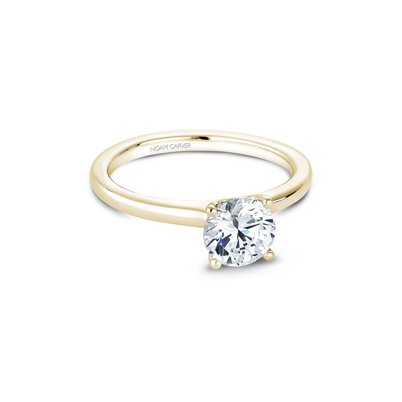 Noam Carver Solitaire Engagement Ring B101-02YA