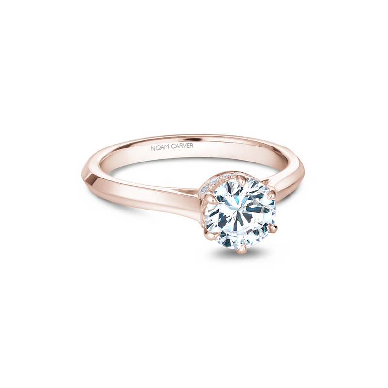 Noam Carver Solitaire Engagement Ring B242-01RA