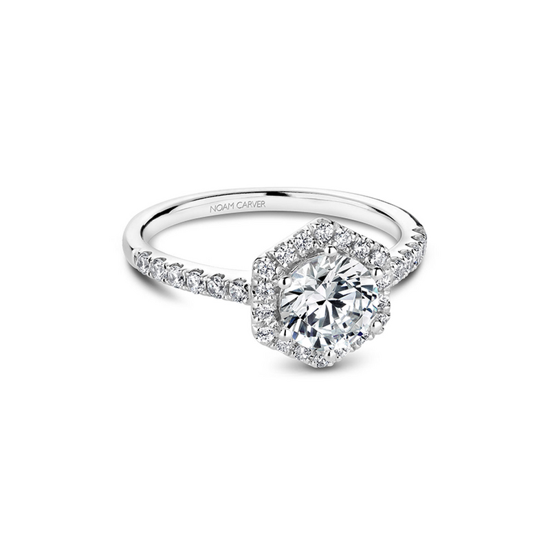 Noam Carver Halo Engagement Ring B214-01A