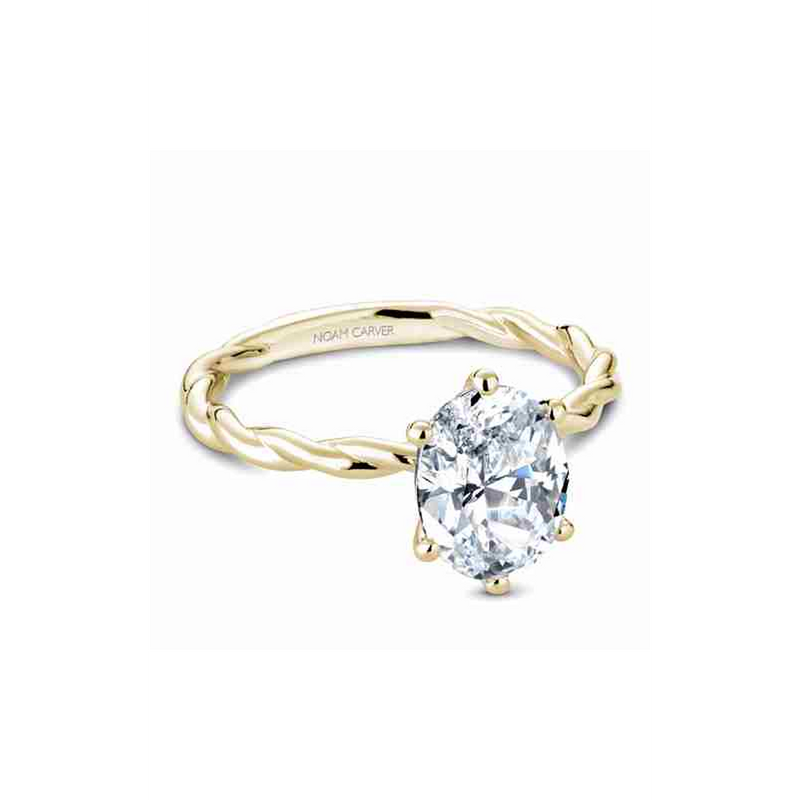 Noam Carver Twist Band Engagement Ring B167-01YA