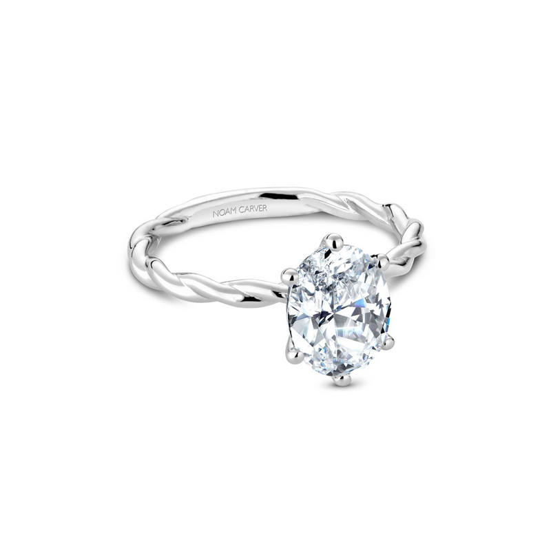 Noam Carver Twist Band Engagement Ring B167-01A