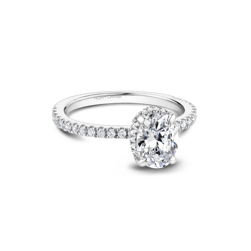 Noam Carver Bridal Engagement Ring B264-01A