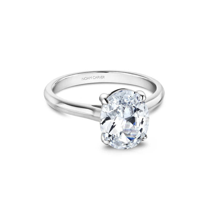 Noam Carver Bridal Engagement Ring B353-03A