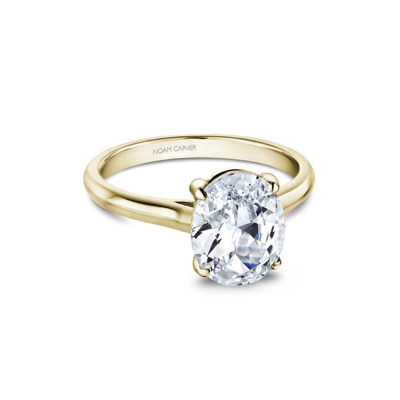 Noam Carver Bridal Engagement Ring B353-03YA