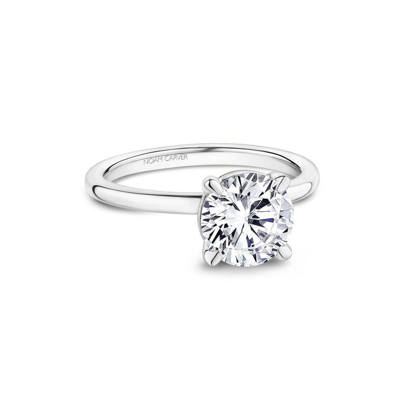 Noam Carver Bridal Engagement Ring B371-01A