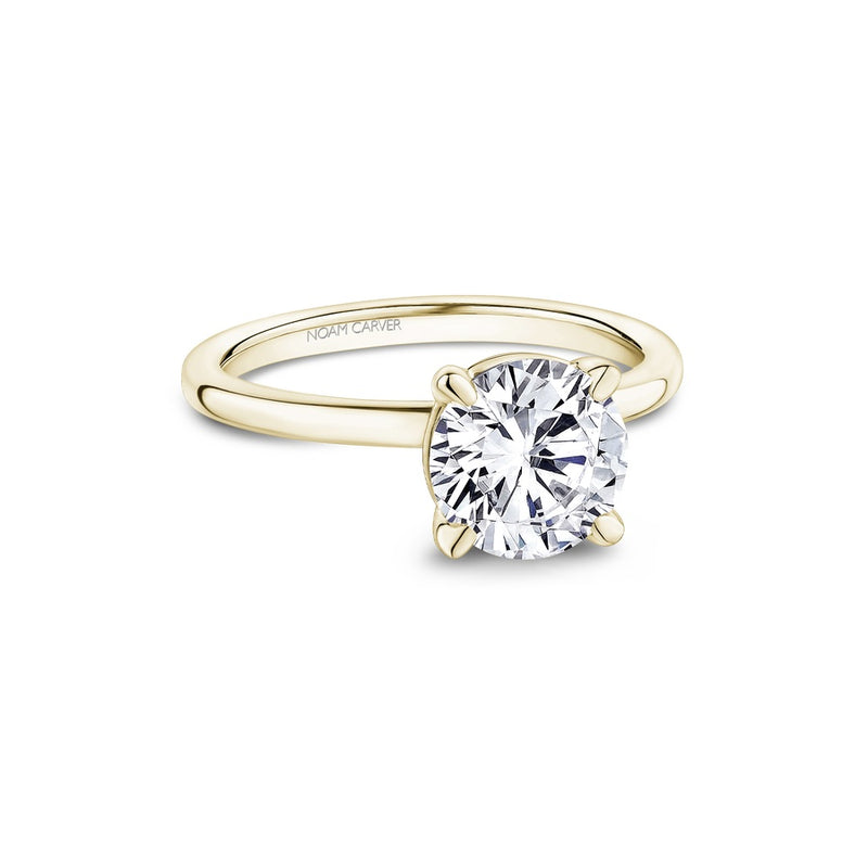 Noam Carver Bridal Engagement Ring B371-01YA