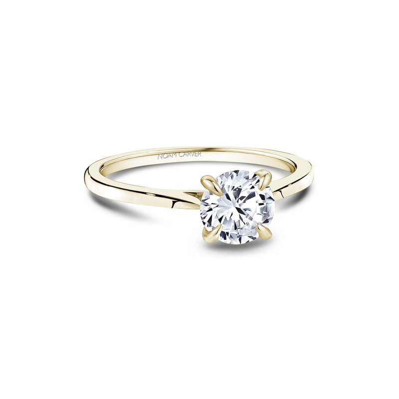 Noam Carver Bridal Engagement Ring B507-02YA