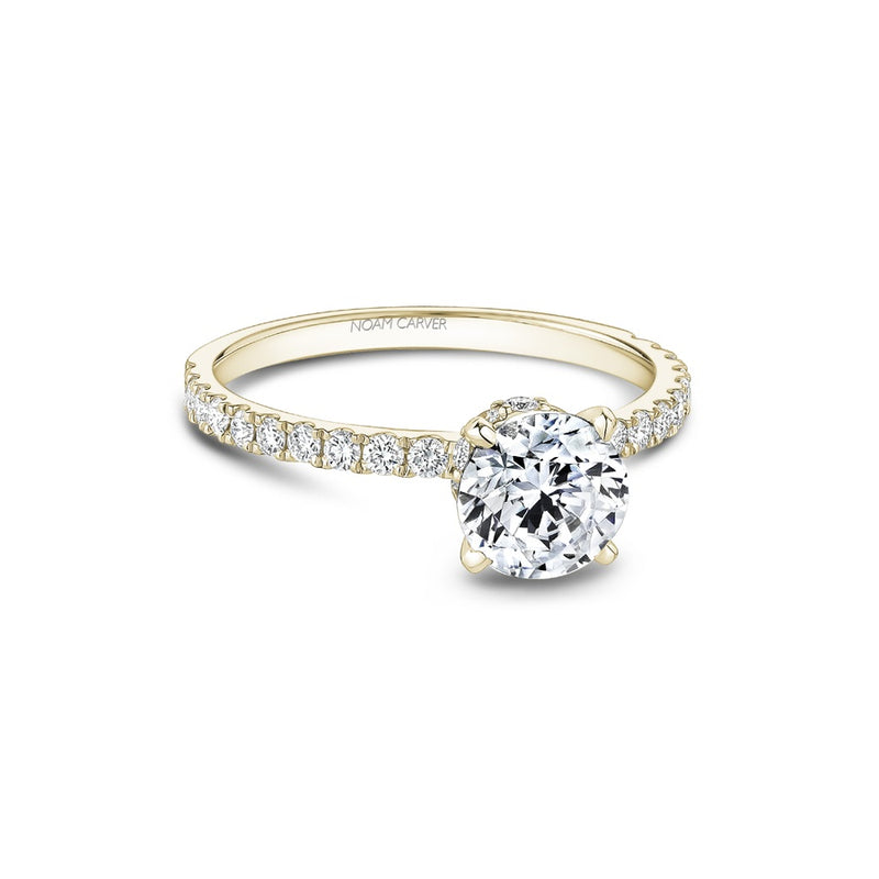 Noam Carver Bridal Engagement Ring B511-02YA