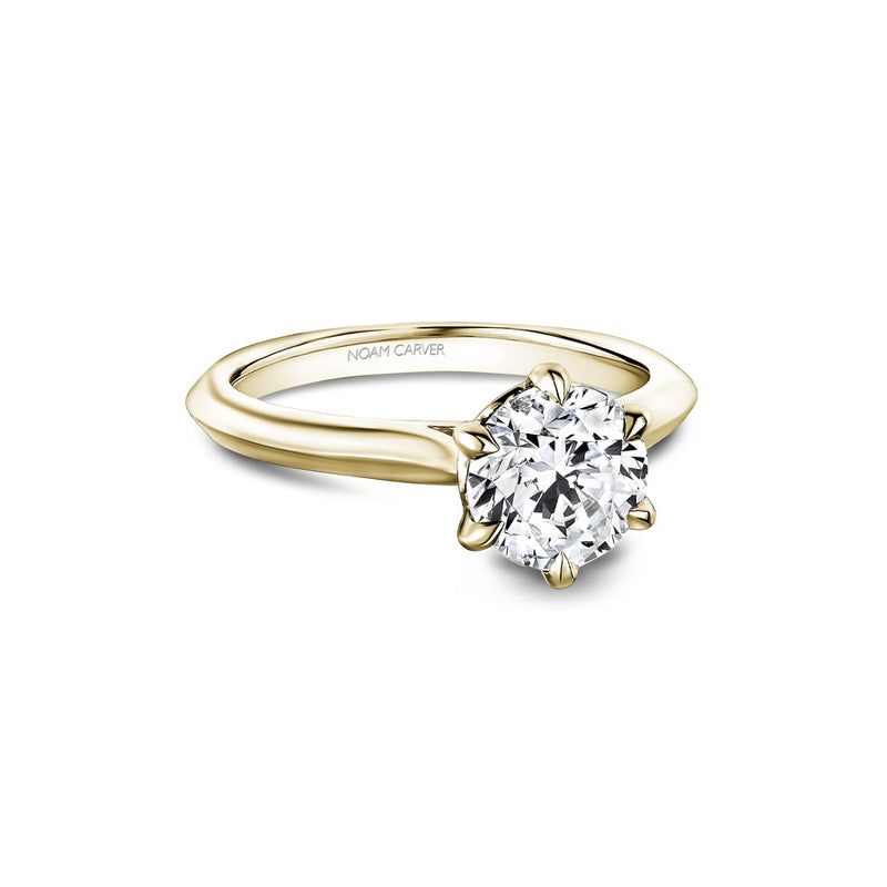 Noam Carver Bridal Engagement Ring R065-01YA