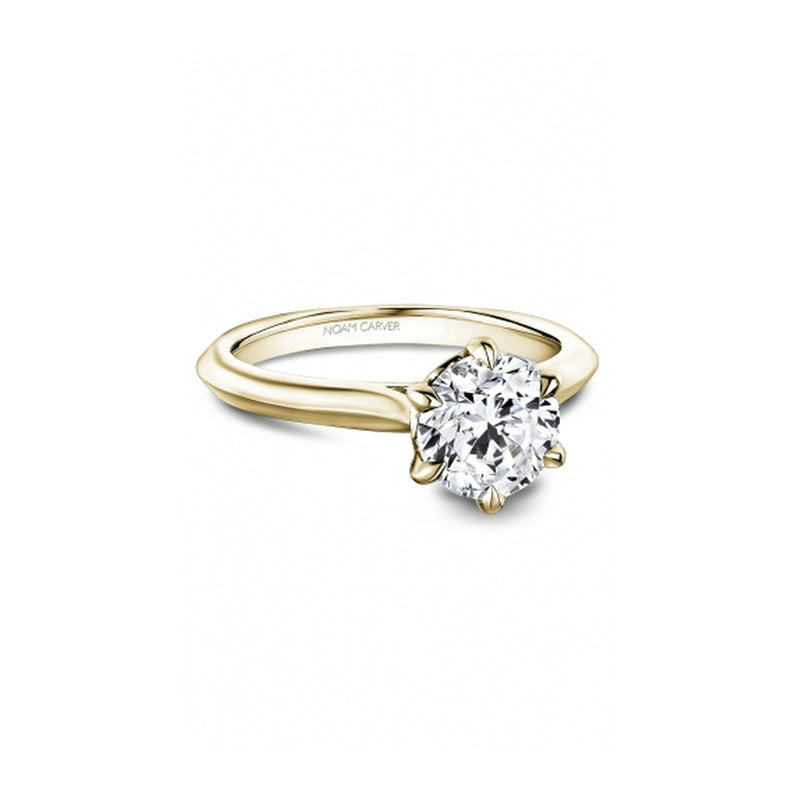 Noam Carver Bridal Engagement Ring R065-01YA