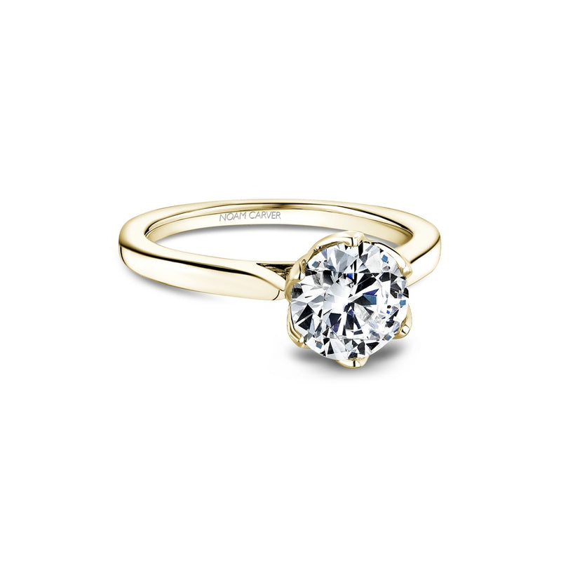 Noam Carver Bridal Engagement Ring R078-01YA