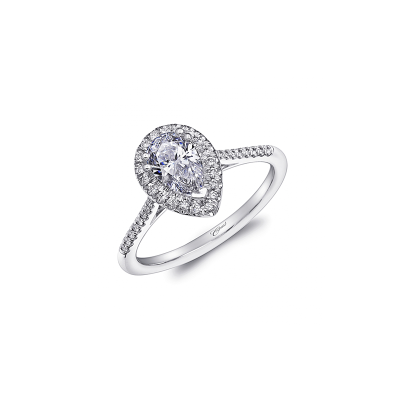 Coast Diamond Charisma Engagement Ring LC5410-PRS
