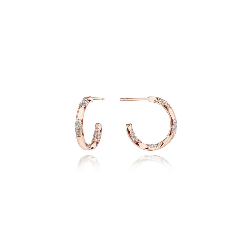 Hoop Earrings, Pulse 20mm
