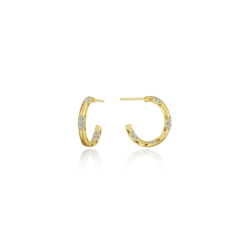 Hoop Earrings, Pulse 20mm