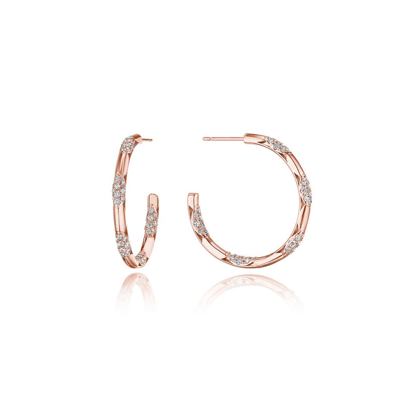 Hoop Earrings, Pulse 34mm