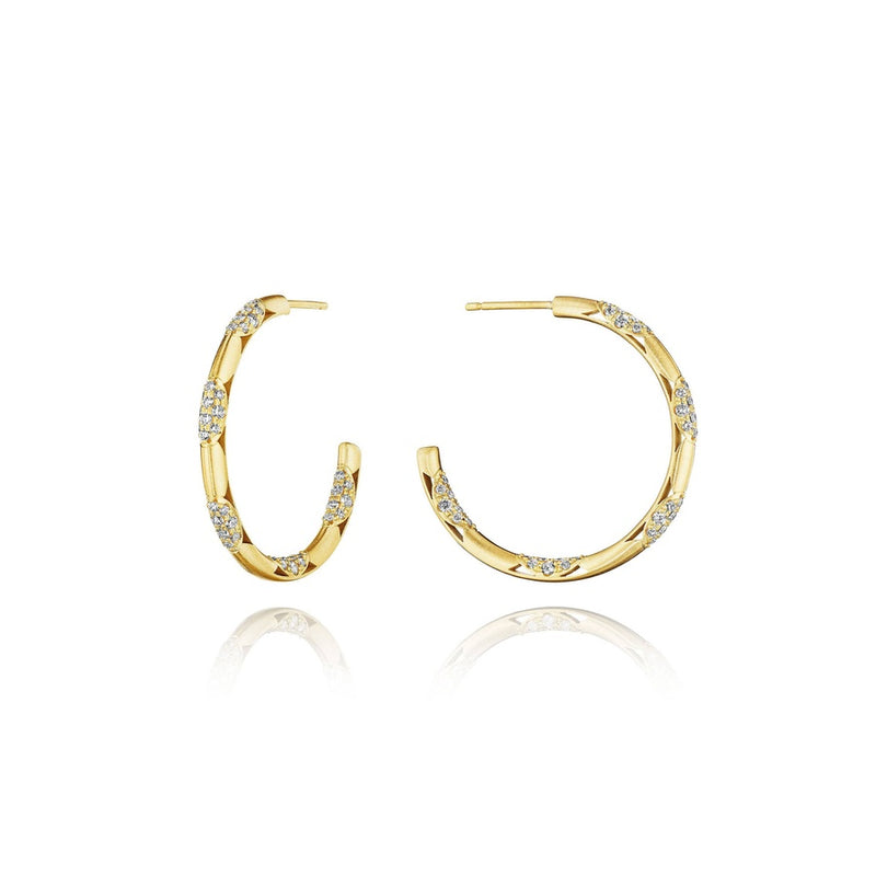 Hoop Earrings, Pulse 34mm