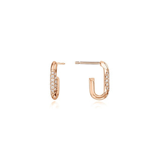 Single Link Earrings