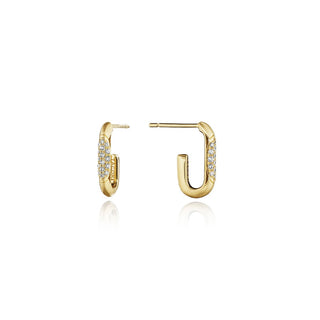 Single Link Earrings