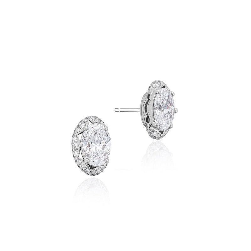 Oval Solitaire Stud Earrings