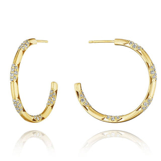 Hoop Earrings, Pulse 34mm in 14kt Yellow Gold