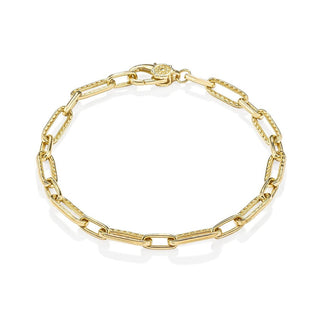 Link Bracelet in 14kt Yellow Gold