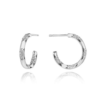 Hoop Earrings, Pulse 20mm in 14kt Rose Gold