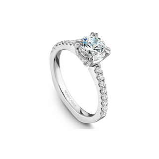 Noam Carver Solitaire Engagement Ring B009-01A