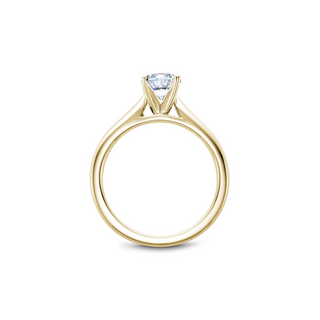 Noam Carver Solitaire Engagement Ring B190-01YA