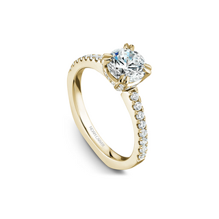 Noam Carver Solitaire Engagement Ring B009-01YA