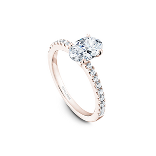 Noam Carver Solitaire Engagement Ring B017-02RA