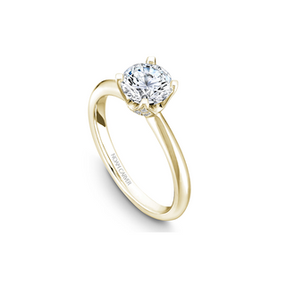 Noam Carver Solitaire Engagement Ring B027-03YA