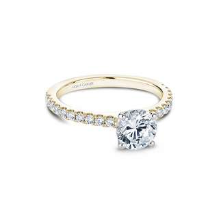 Noam Carver Solitaire Engagement Ring B101-01YA
