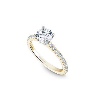 Noam Carver Solitaire Engagement Ring B101-01YA