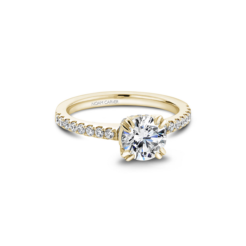 Noam Carver Solitaire Engagement Ring B009-01YA