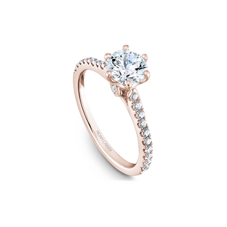 Noam Carver Solitaire Engagement Ring B142-17RA