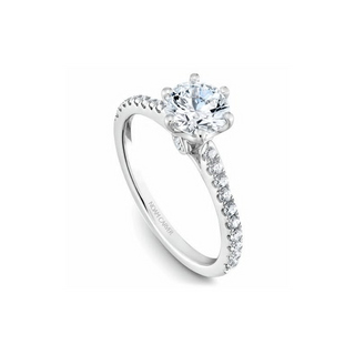 Noam Carver Solitaire Engagement Ring B142-17A