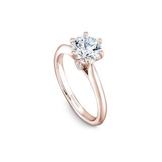 Noam Carver Solitaire Engagement Ring B143-17RA