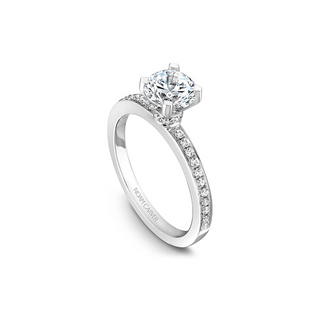 Noam Carver Solitaire Engagement Ring B012-01A