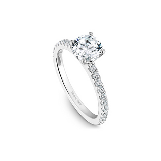 Noam Carver Solitaire Engagement Ring B101-01A