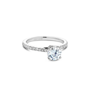 Noam Carver Solitaire Engagement Ring B142-02A